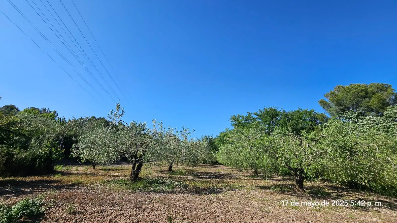 Country house zum Verkauf in Valls mit Alarm