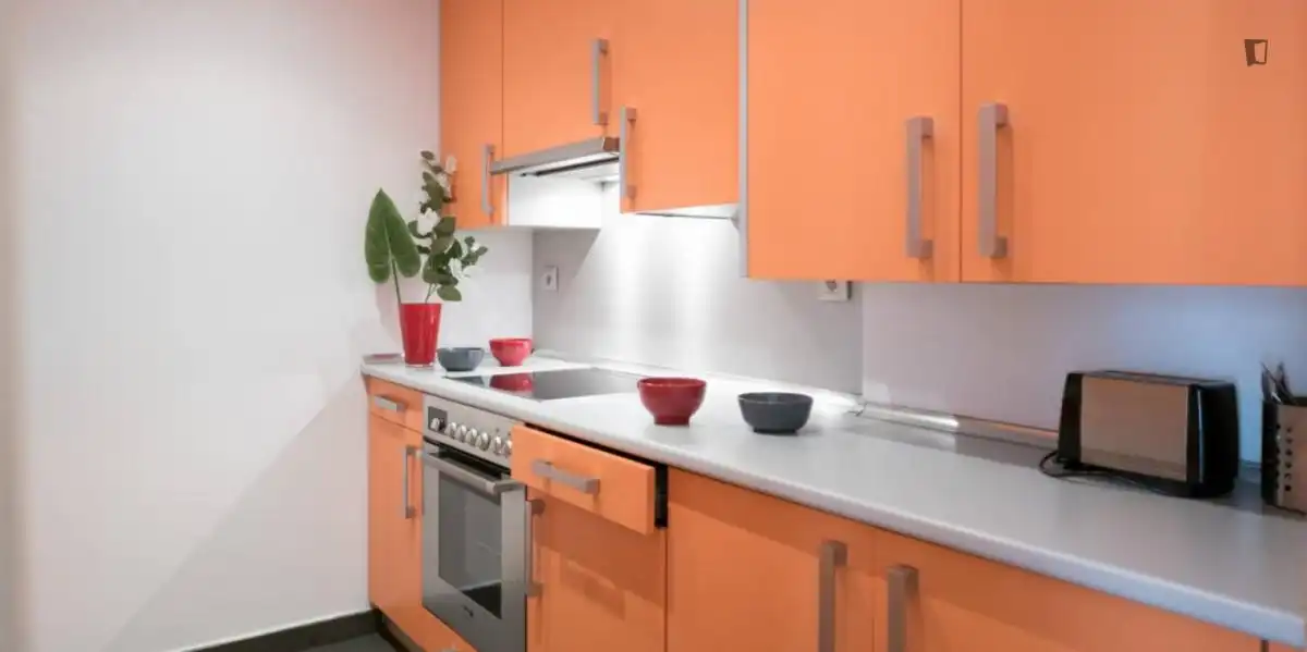 Apartamento en alquiler en Centro, imagen 14