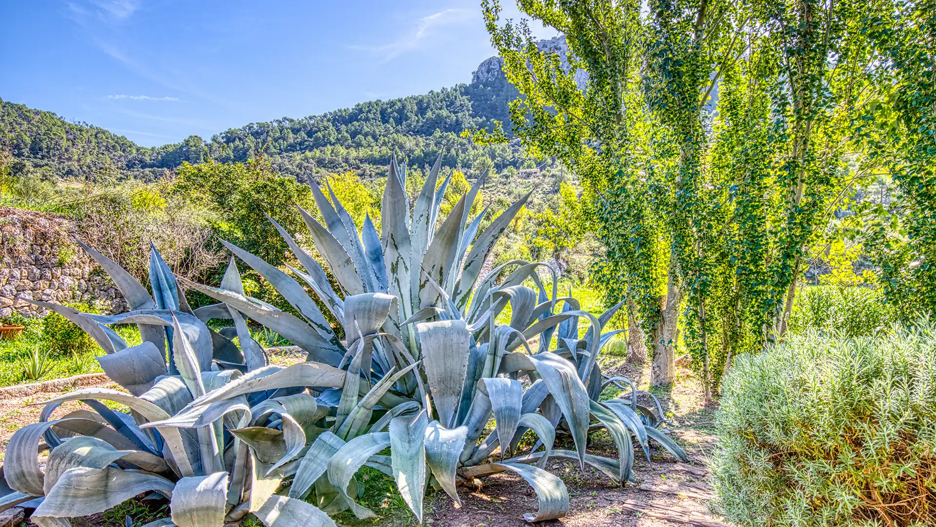 Jardí de Finca rústica en venda en Esporles amb Calefacció, Terrassa i Traster