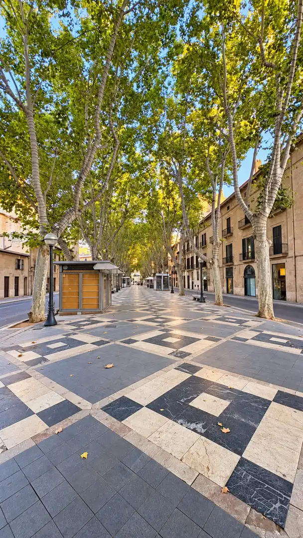 Wohnung mit Aufzug zum Verkauf in Palma de Mallorca - calle dels horts 1, imagen 6