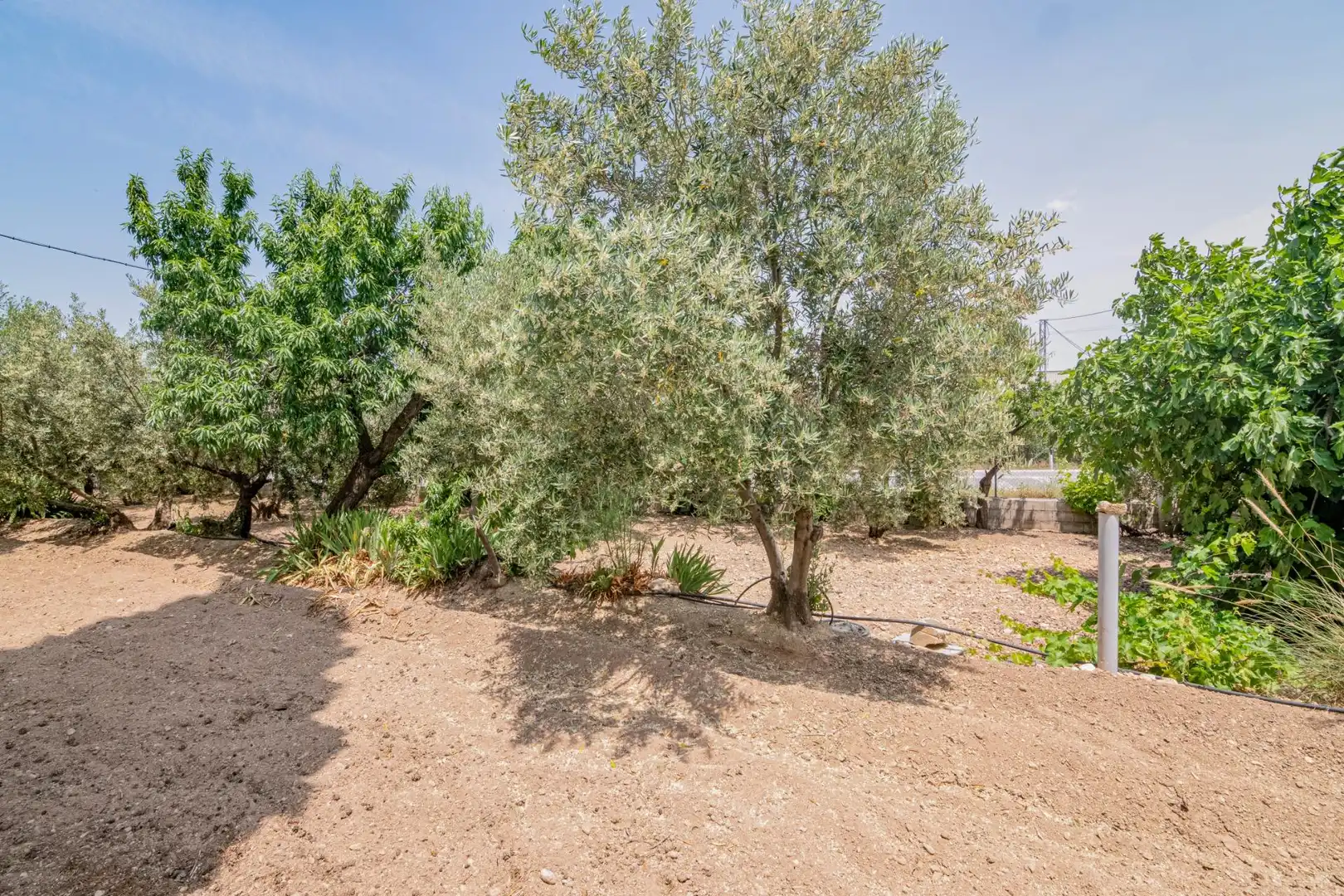 Casa o chalet en venta en Baza con Aire acondicionado, Calefacción y Jardín privado