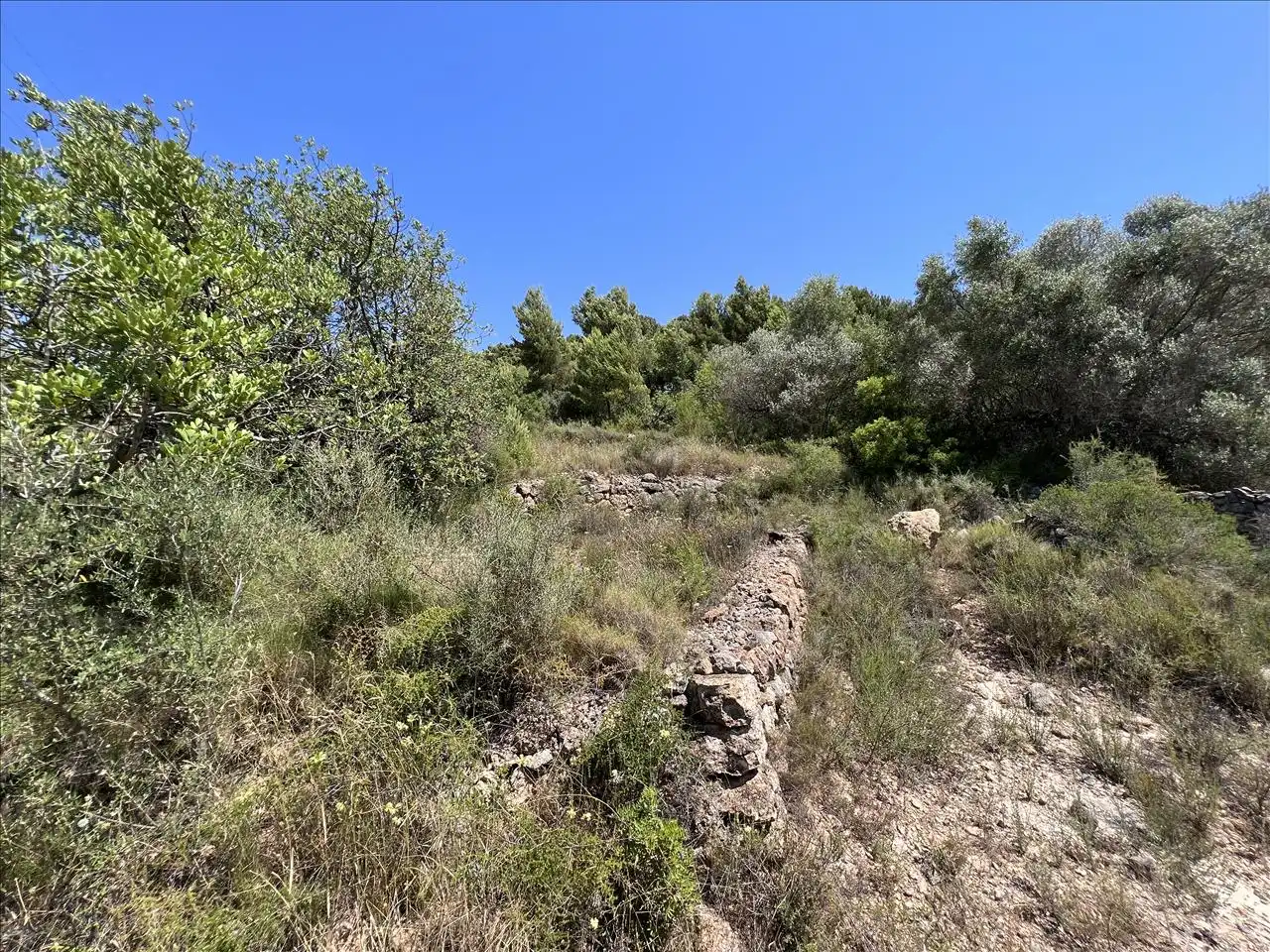 Residential land for sale in Proc. Simplificado, imagen 6