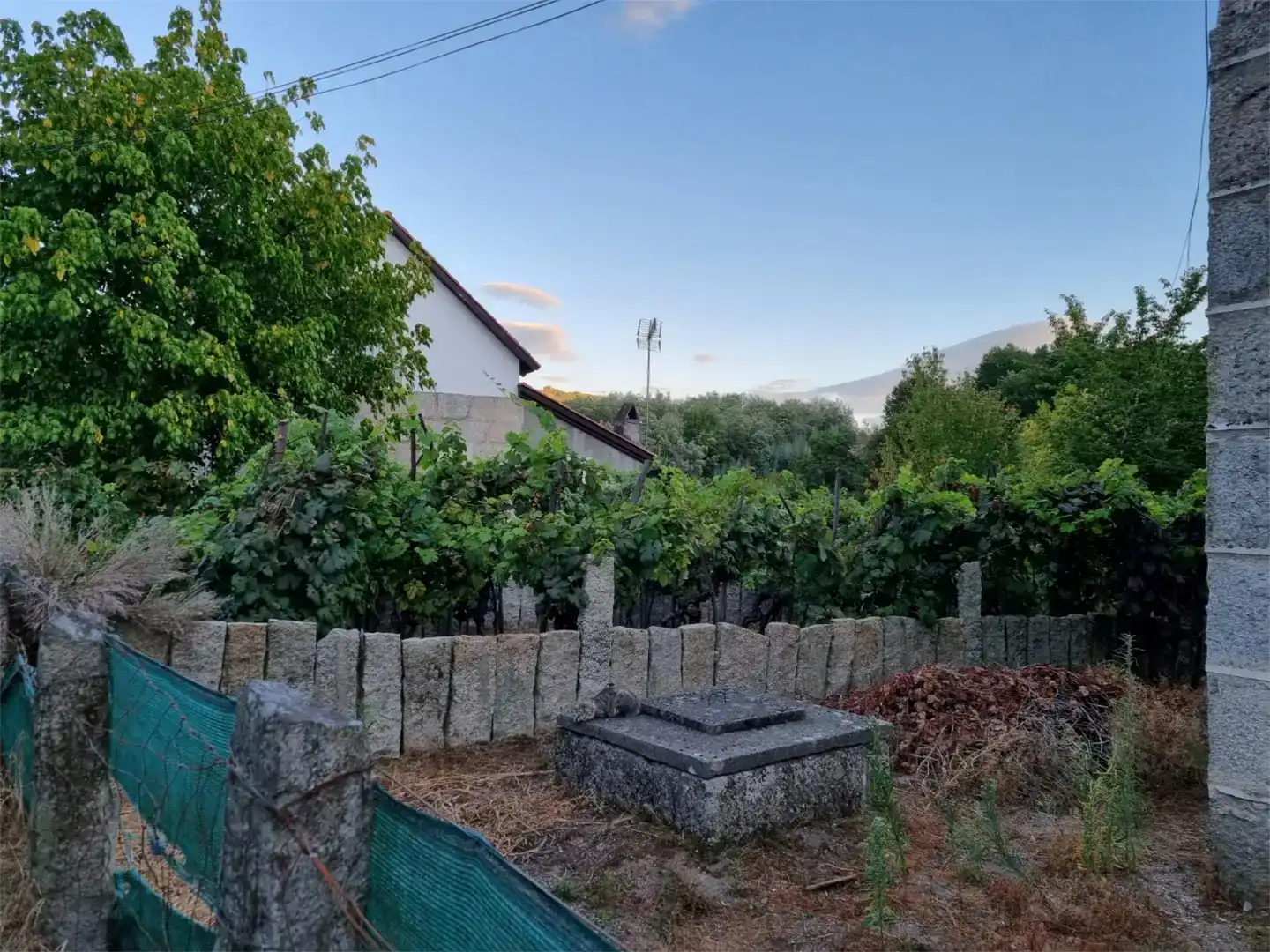 Jardín de Casa o chalet en venta en Leiro, Ourense