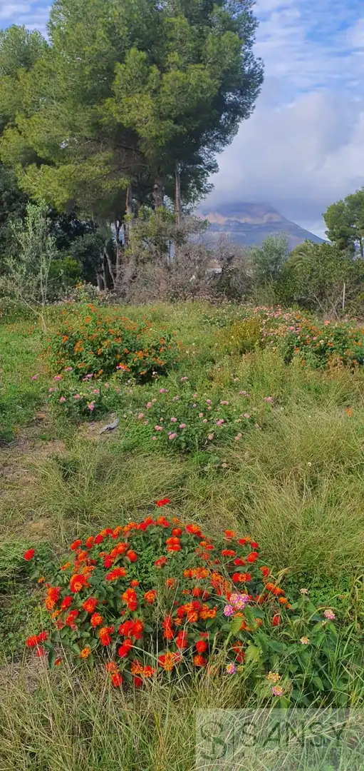 Garden of Houses for sale in Jávea / Xàbia  with Heating