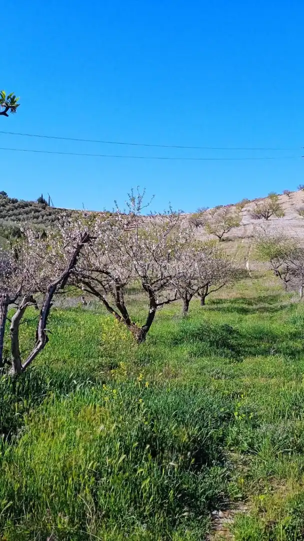Terreny en venda en Gójar
