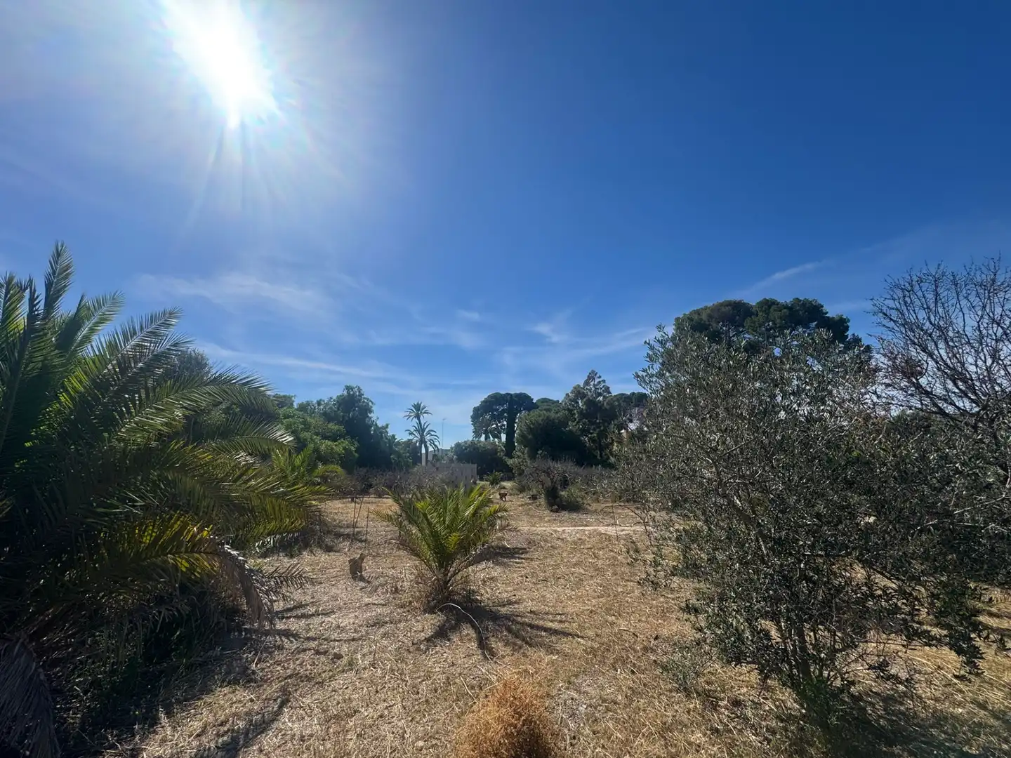 Land for sale in Sant Joan d'Alacant