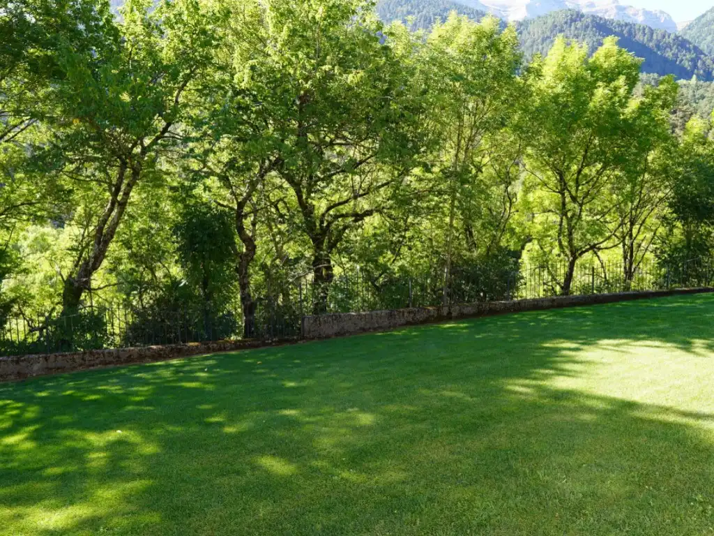 Garden of Houses for sale in Bielsa, Huesca