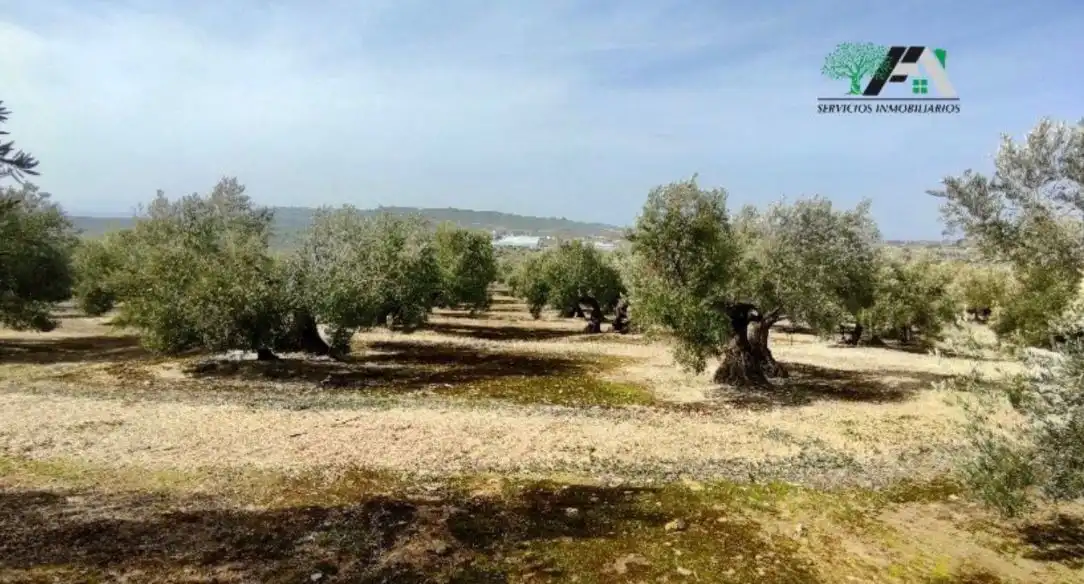Terrenos y solares en venta en Úbeda