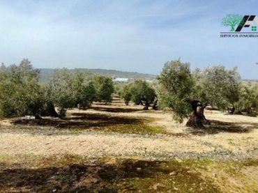 Terreno rustico in vendita a Úbeda