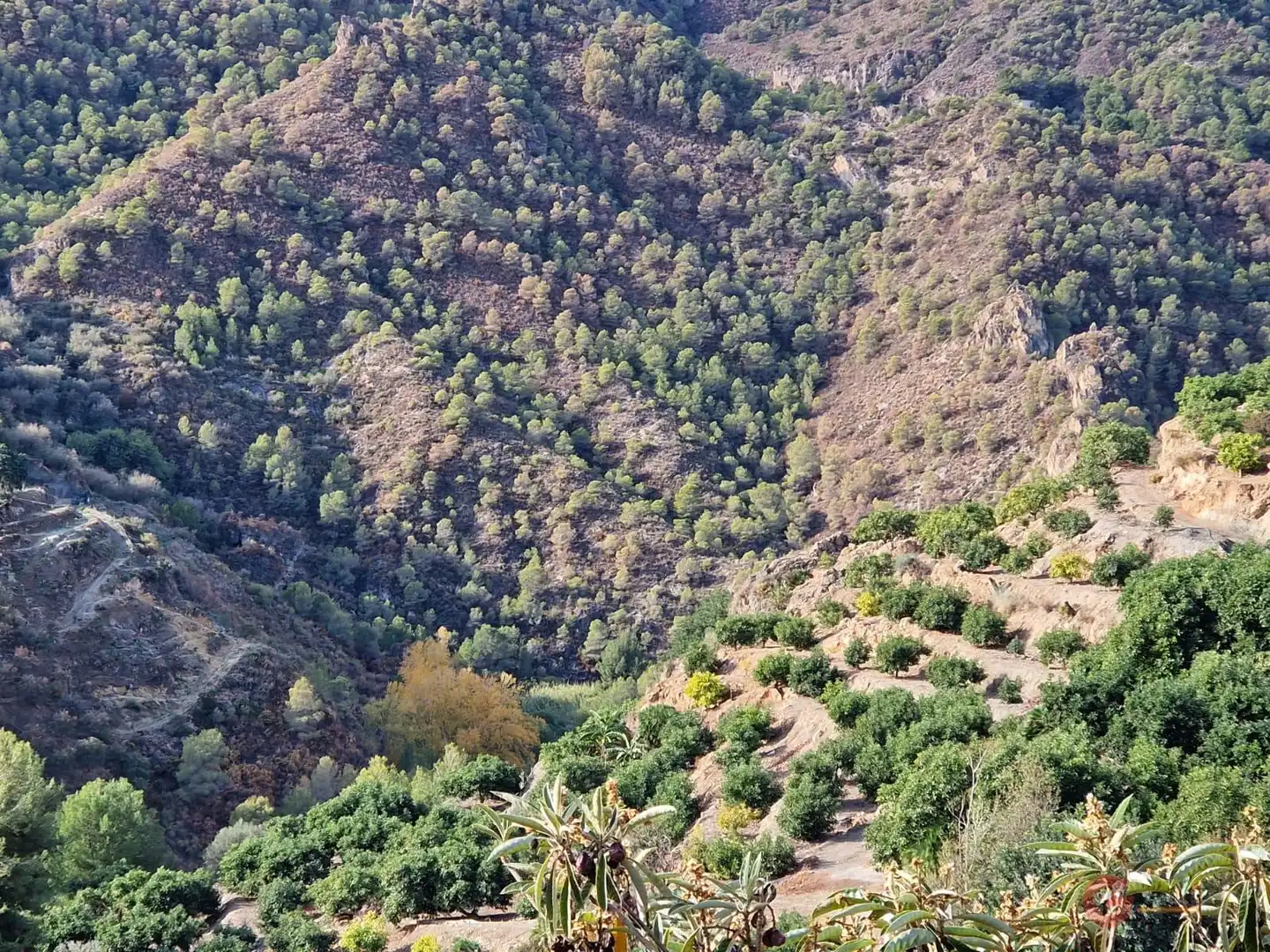 Terreni e lotti in vendita a Los Guájares