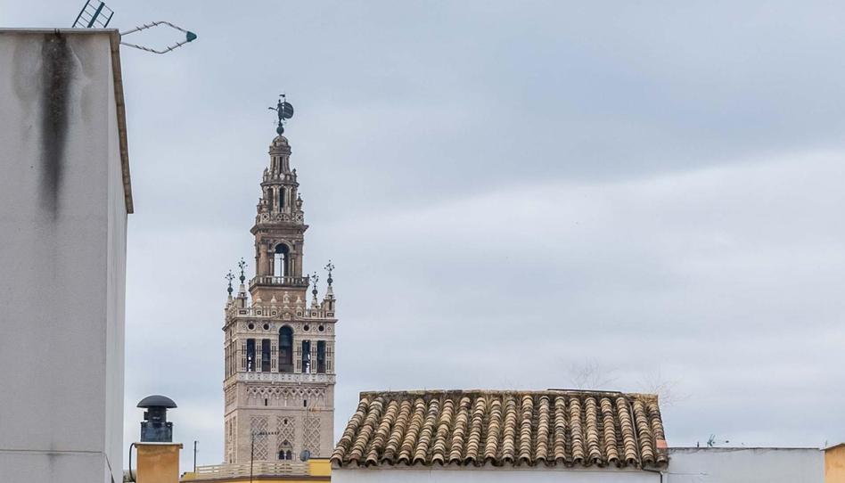 Foto 1 de Estudi en venda a Capitan Francisco Martinez Gonzalez , Bloqu, Alfalfa - Santa Cruz, Sevilla