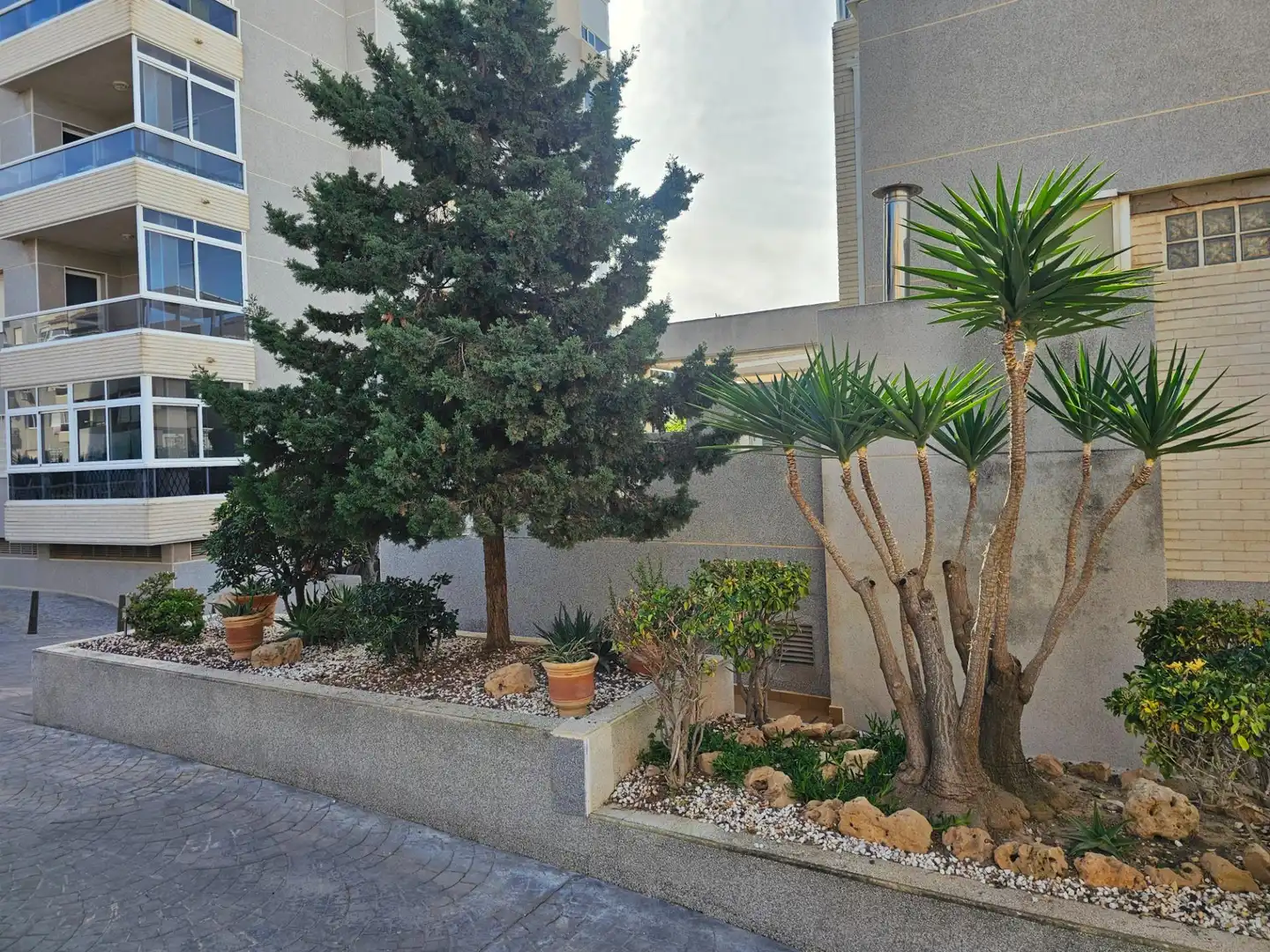 Apartament amb piscina en venda a Calle talia 4