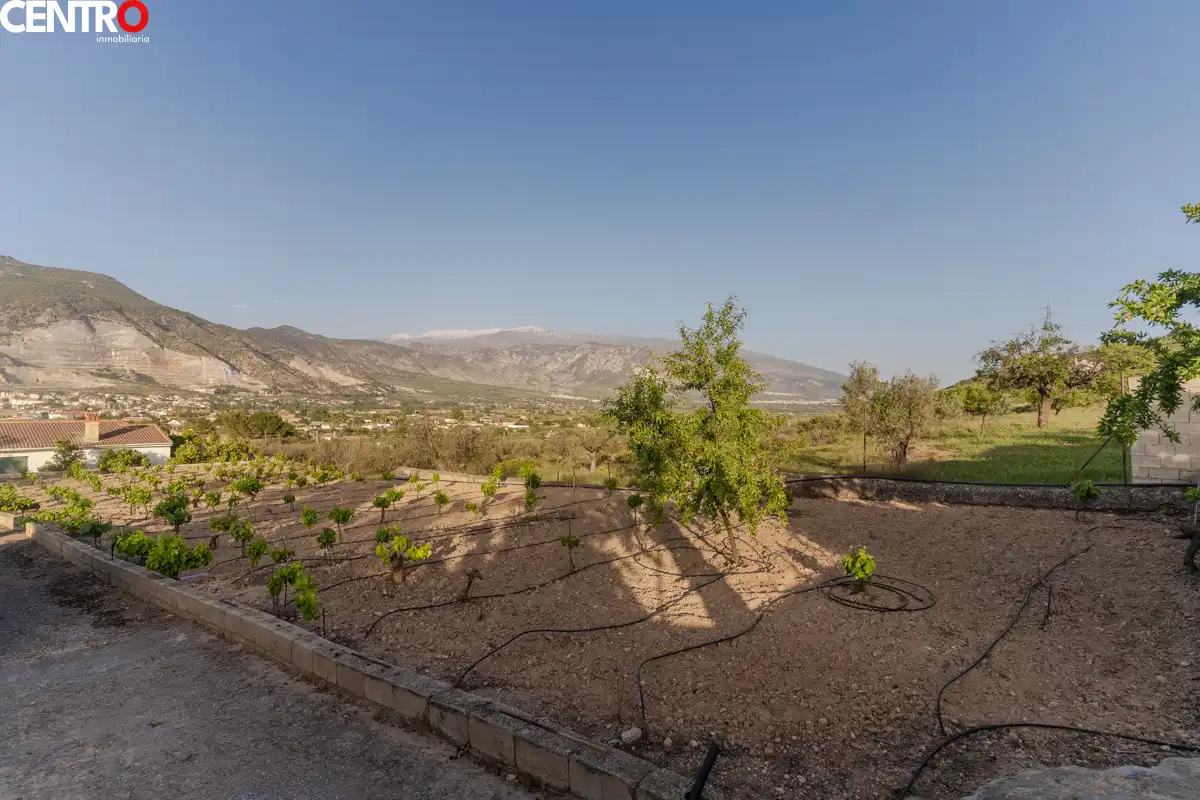 Casa con giardino in vendita a molinos, imagen 14