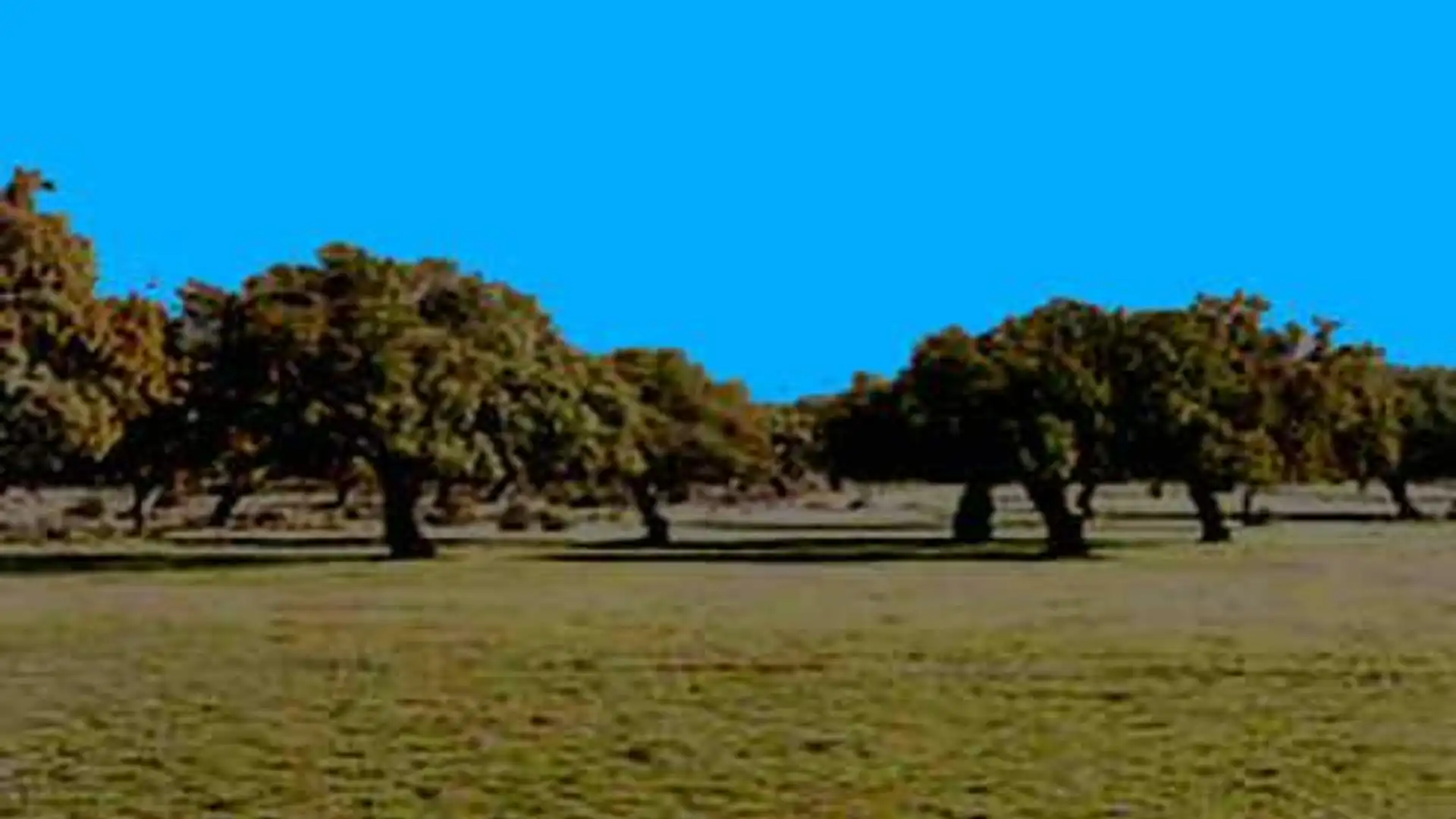 Terreno en venta en N/A, Hospital - Nuevo Centro de Talavera de la Reina