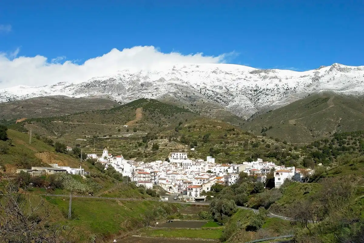 Terrenos y solares en venta en Sedella, imagen 10