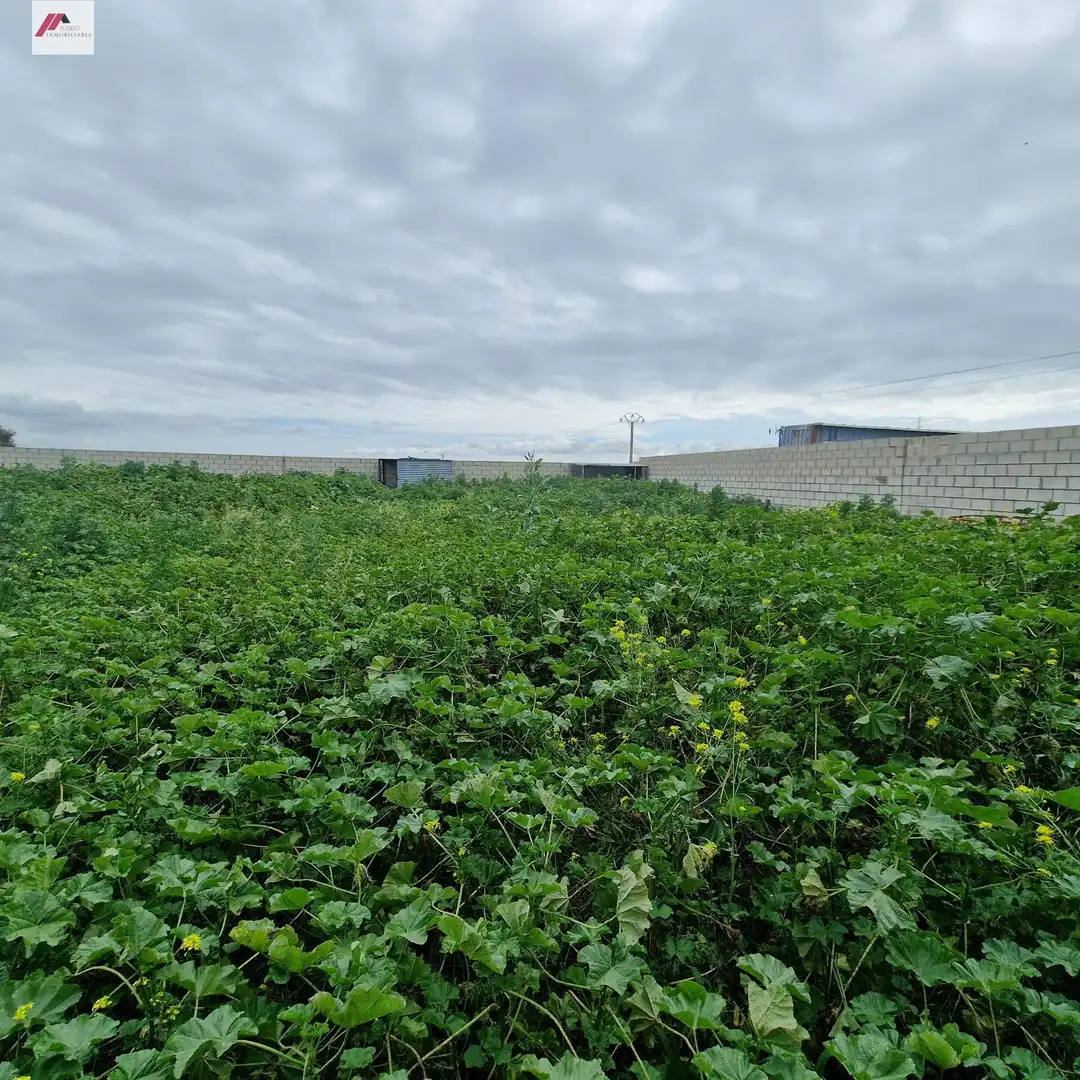 Rural land for sale in Ctra Sanlúcar - Cuatro Pinos, imagen 6