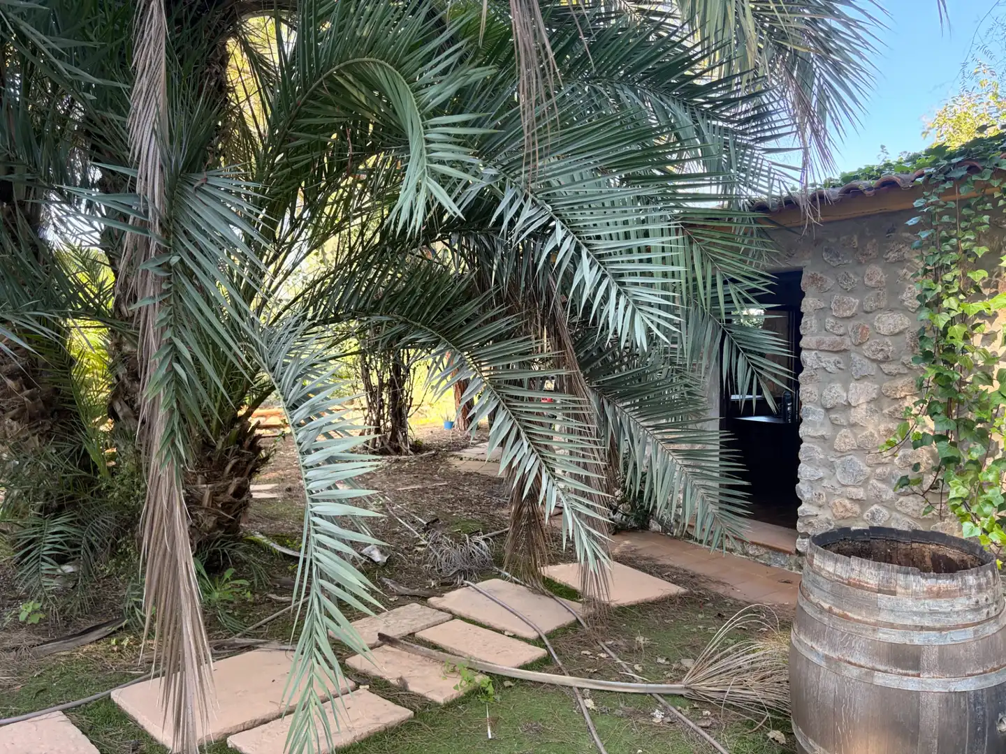 Lands and plots for sale in Abanilla, imagen 4