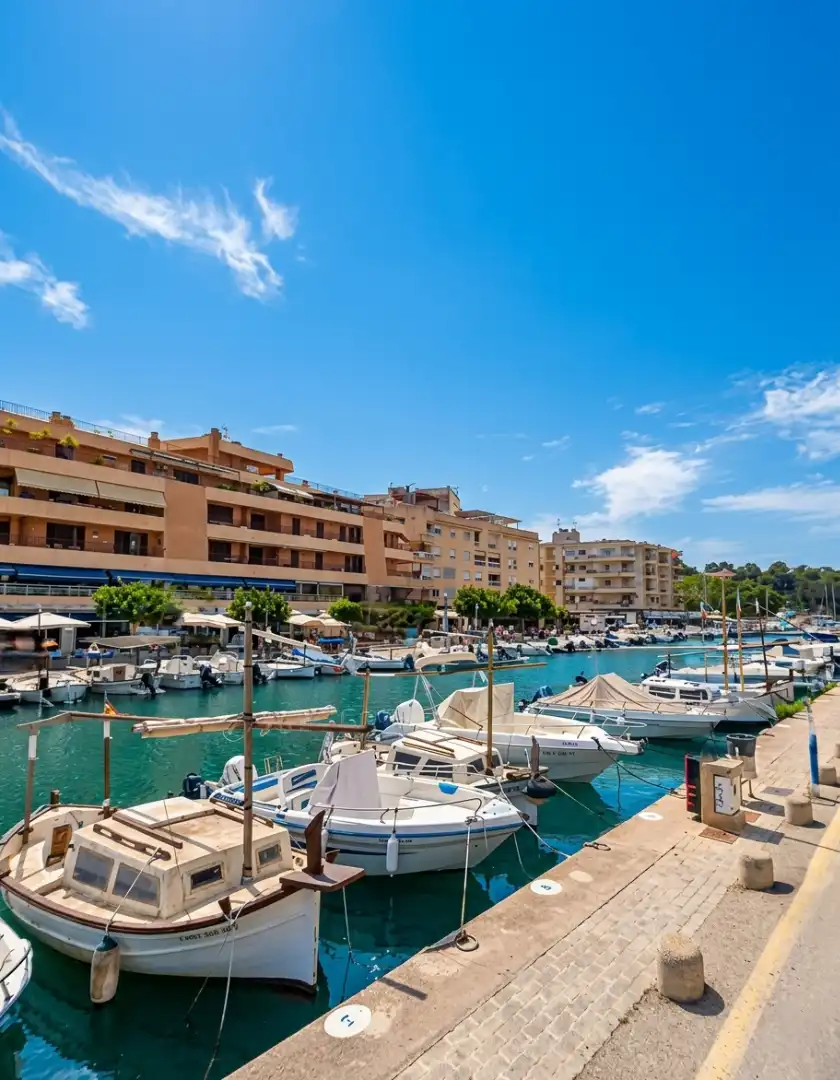 Otros con piscina en venta en Porto Cristo, imagen 4