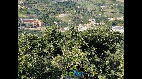 Foto 2 de Finca rústica en venda a El Zahonao, Torrecuevas - Lomas del Gato, Granada