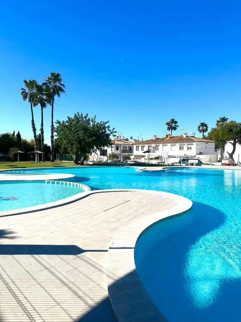 Piscina de Casa o chalet en venta en Torrevieja con Terraza, Amueblado y Piscina comunitaria