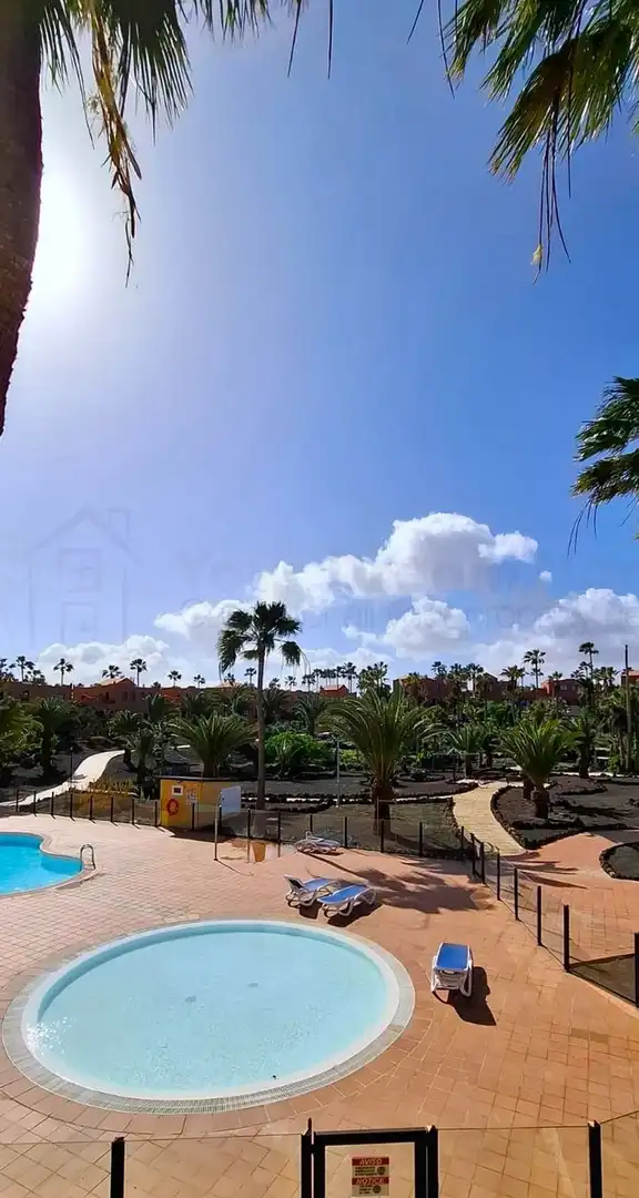 Vista exterior de Apartamento en venta en La Oliva con Terraza y Piscina comunitaria