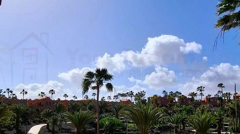 Foto 3 de Apartamento en venta en Corralejo, La Oliva