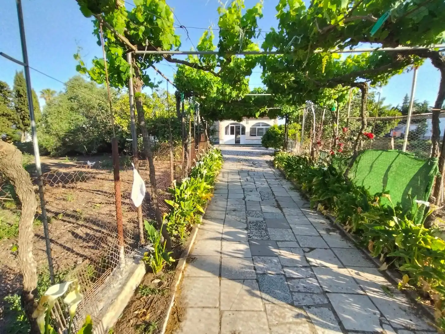 Vista exterior de Casa o xalet en venda en Chiclana de la Frontera amb Traster