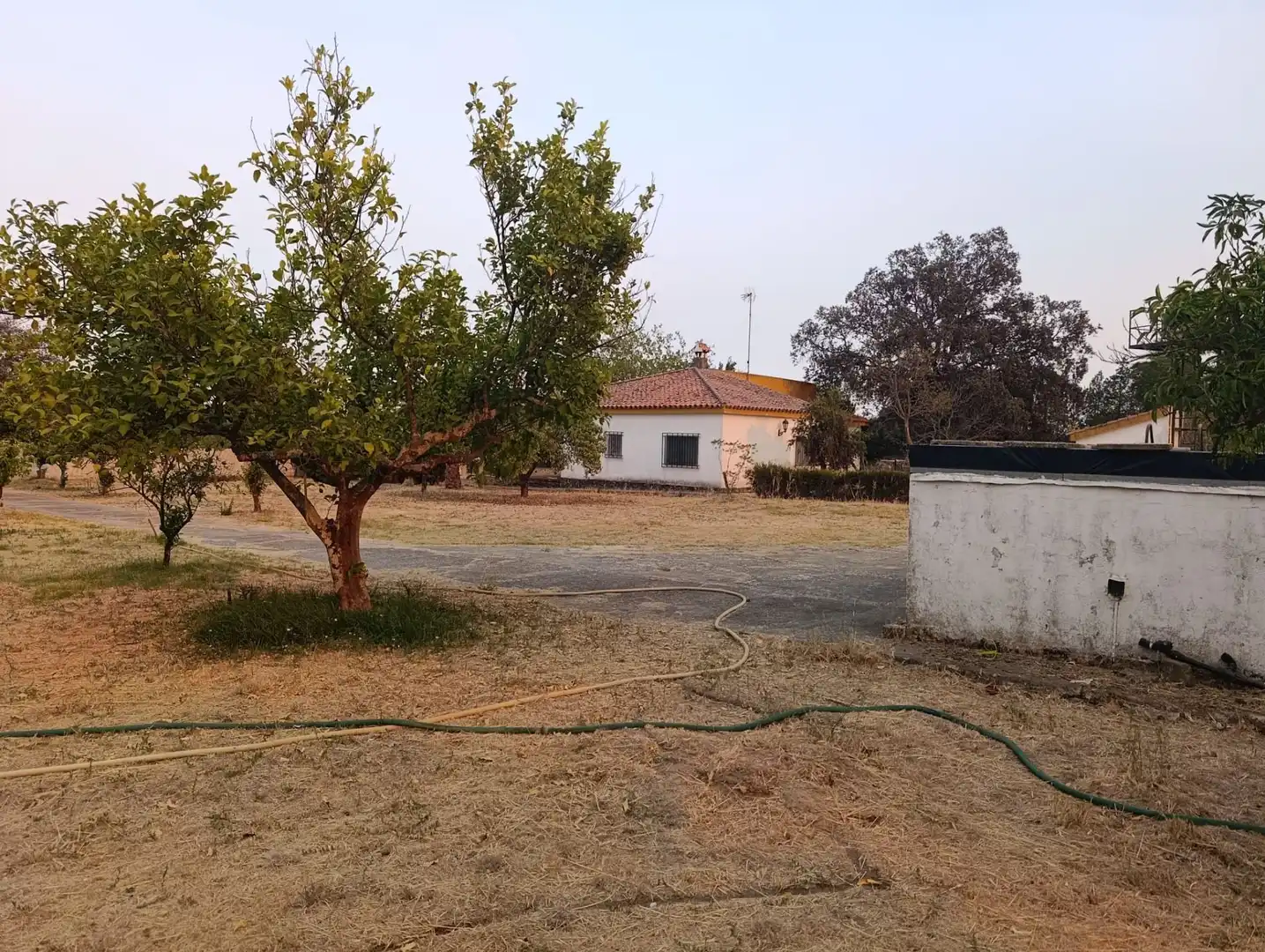 Haus mit Pool zum Verkauf in Castilblanco de los Arroyos, imagen 69