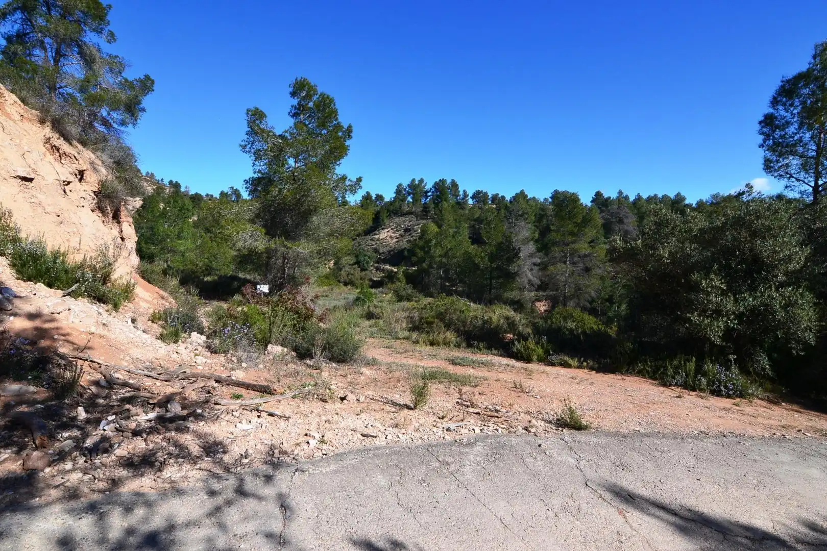 Rural land for sale in Ascó, imagen 50