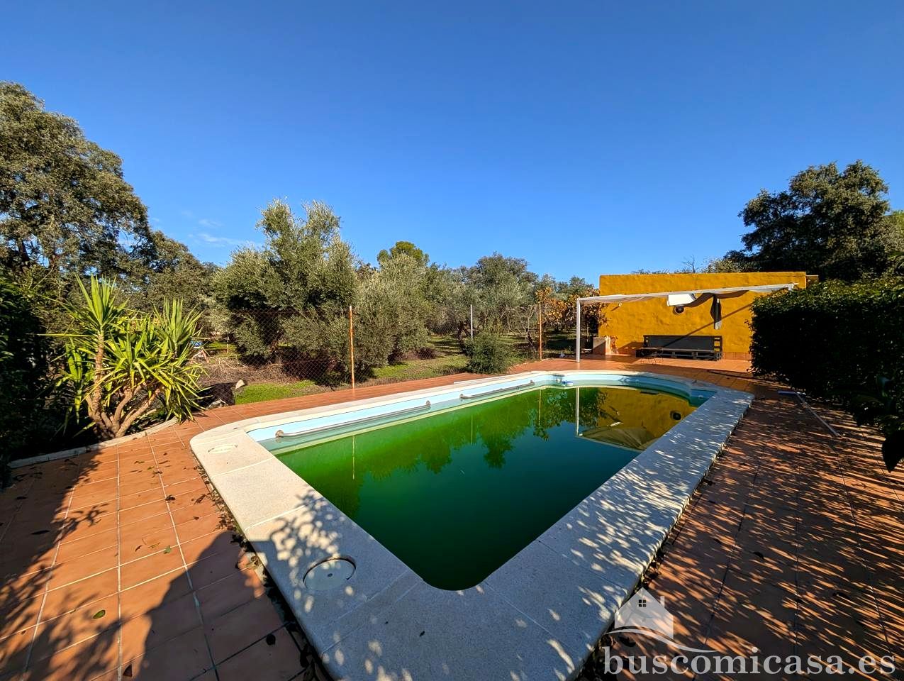 Piscina de Finca rústica en venta en Linares con Jardín privado y Piscina