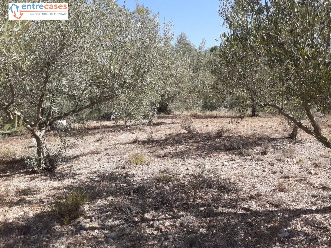 Terreno rustico in vendita a Segorbe, imagen 30