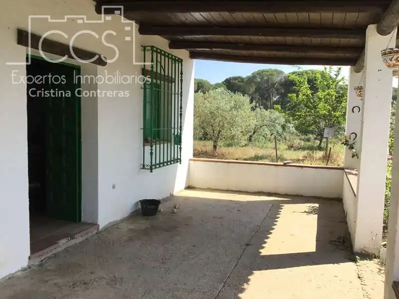 Vista exterior de Finca rústica en venda en Almonte amb Terrassa i Moblat