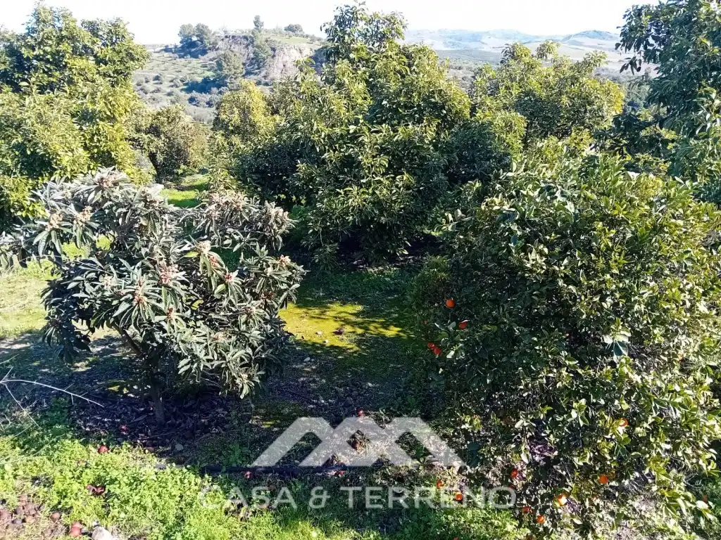 Casa o xalet en venda en Alozaina amb Piscina