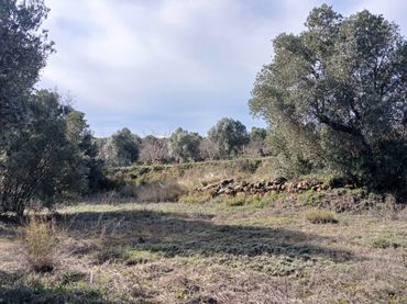 Terreno rustico in vendita a Calaceite