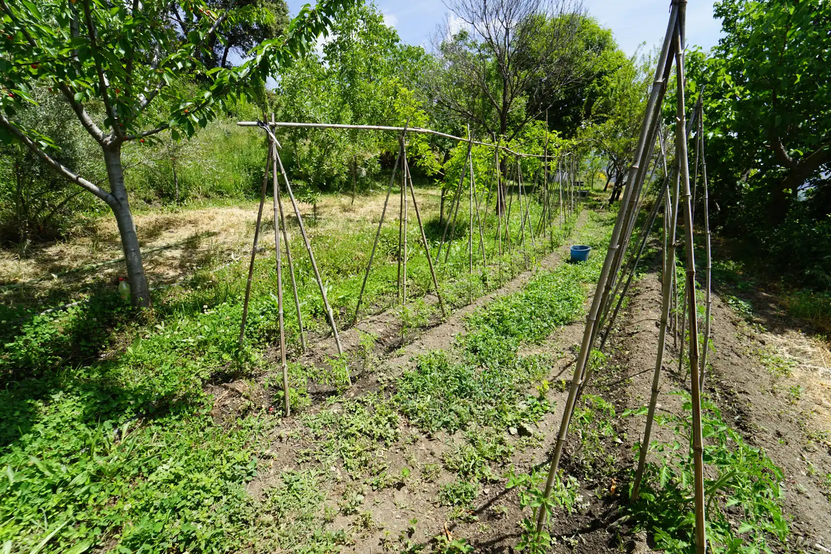 Jardí de Finca rústica en venda en La Taha amb Terrassa i Moblat
