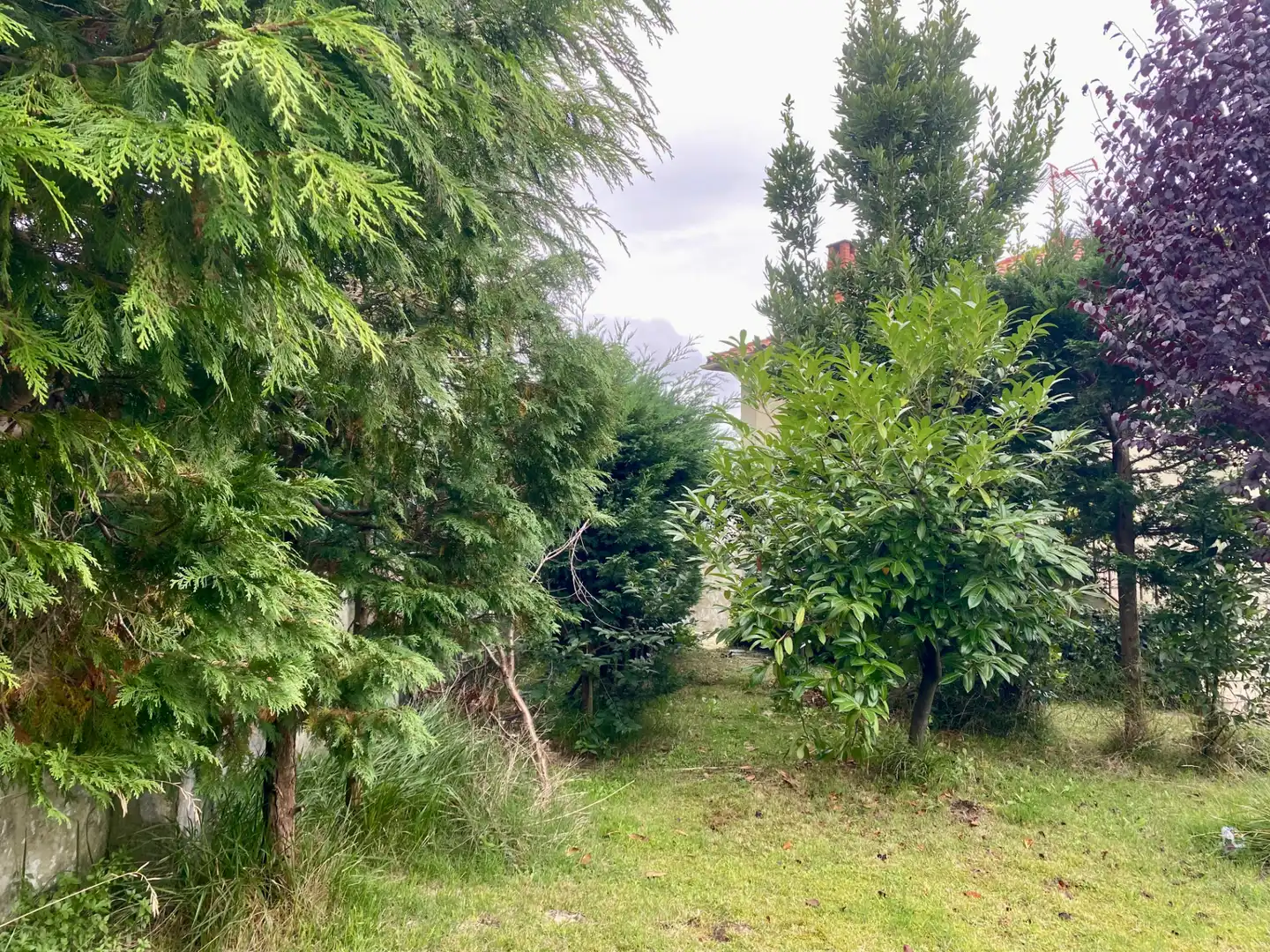 Casa o chalet en venta en Torrelavega  con Calefacción, Jardín privado y Terraza