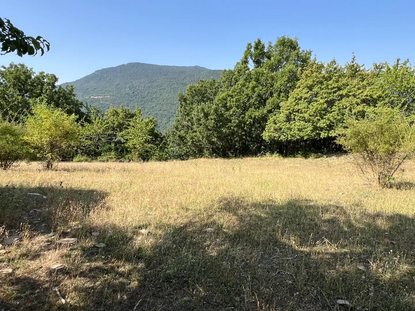 Land for sale in Broto