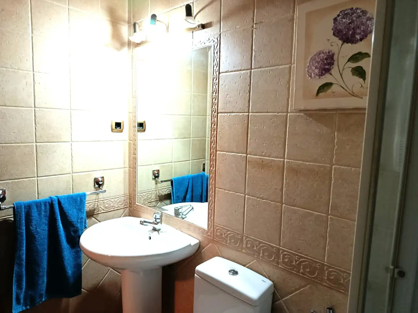 Baño de Piso de alquiler en Santander con Calefacción y Amueblado