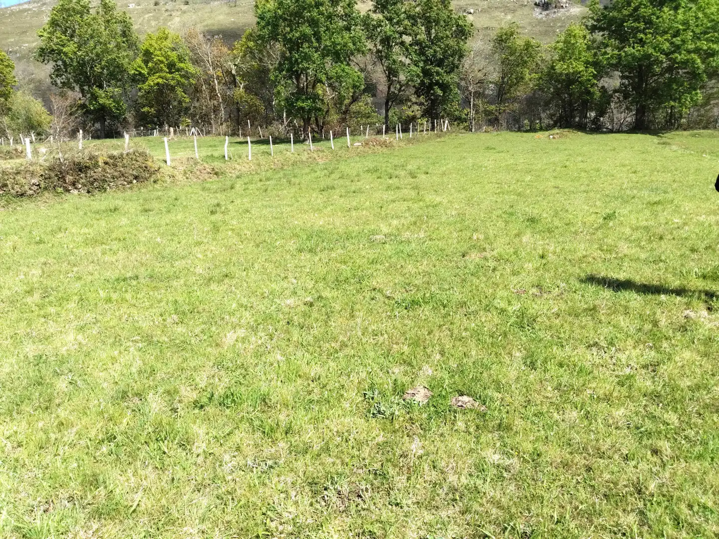 Grundstücke zum Verkauf in Rionansa