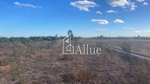 Foto 2 de Finca rústica en venda a Camino Ballester, Partida Caramit,poligono 3, 103, Piscinas, Burriana / Borriana