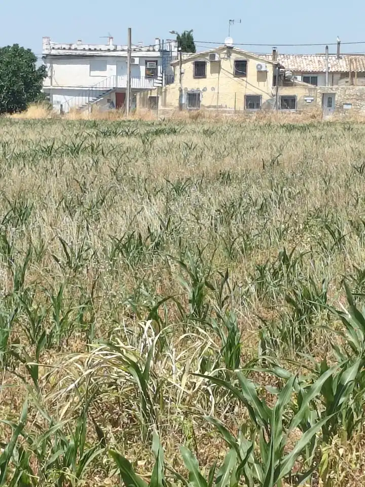 Terreni e lotti in vendita a Camino de Zamoray, imagen 6