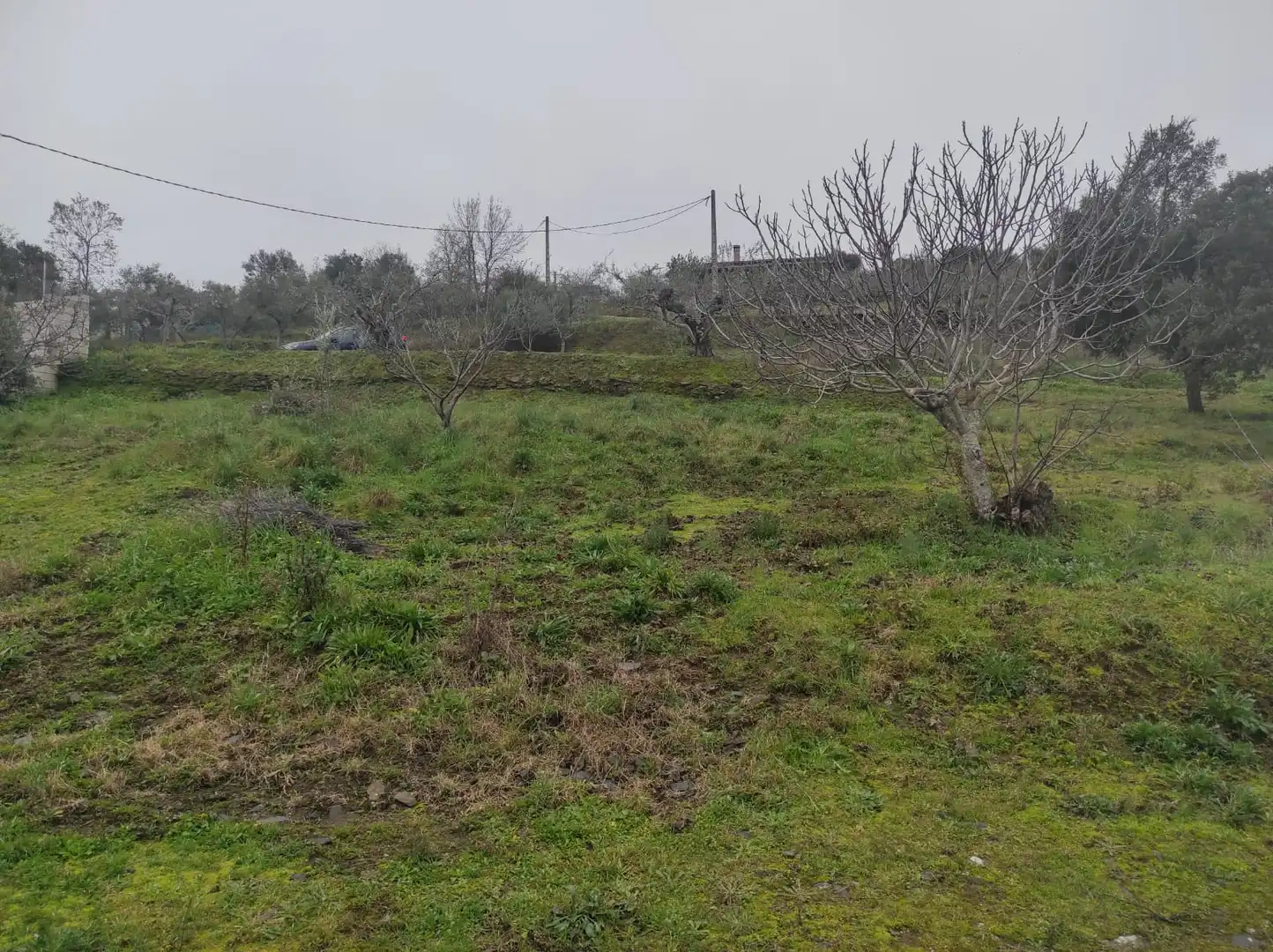 Terreno en venta en Plasencia