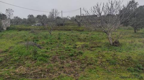 Photo 3 of Land for sale in Calle Virgen Puerto, 20, Miralvalle - Av. Virgen del Puerto - La Data, Cáceres