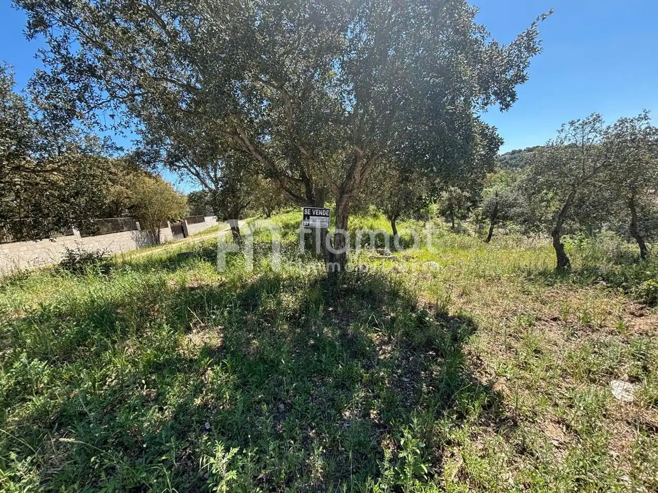 Terrenos y solares en venta en Carrer de Can Badia Vell, imagen 4