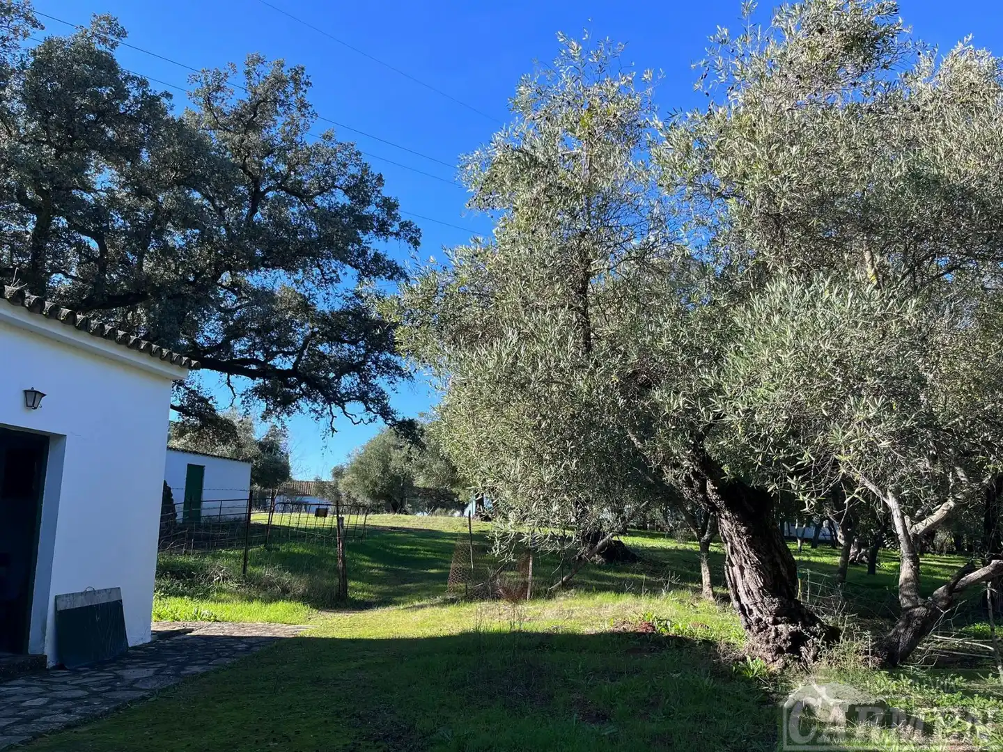 Finca rústica en venda en El Bosque