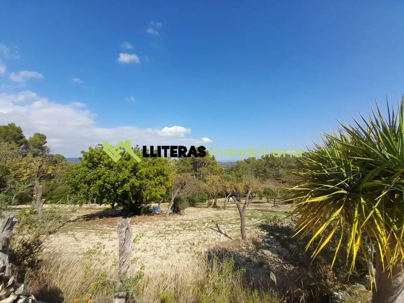 Country homes for sale in Selva