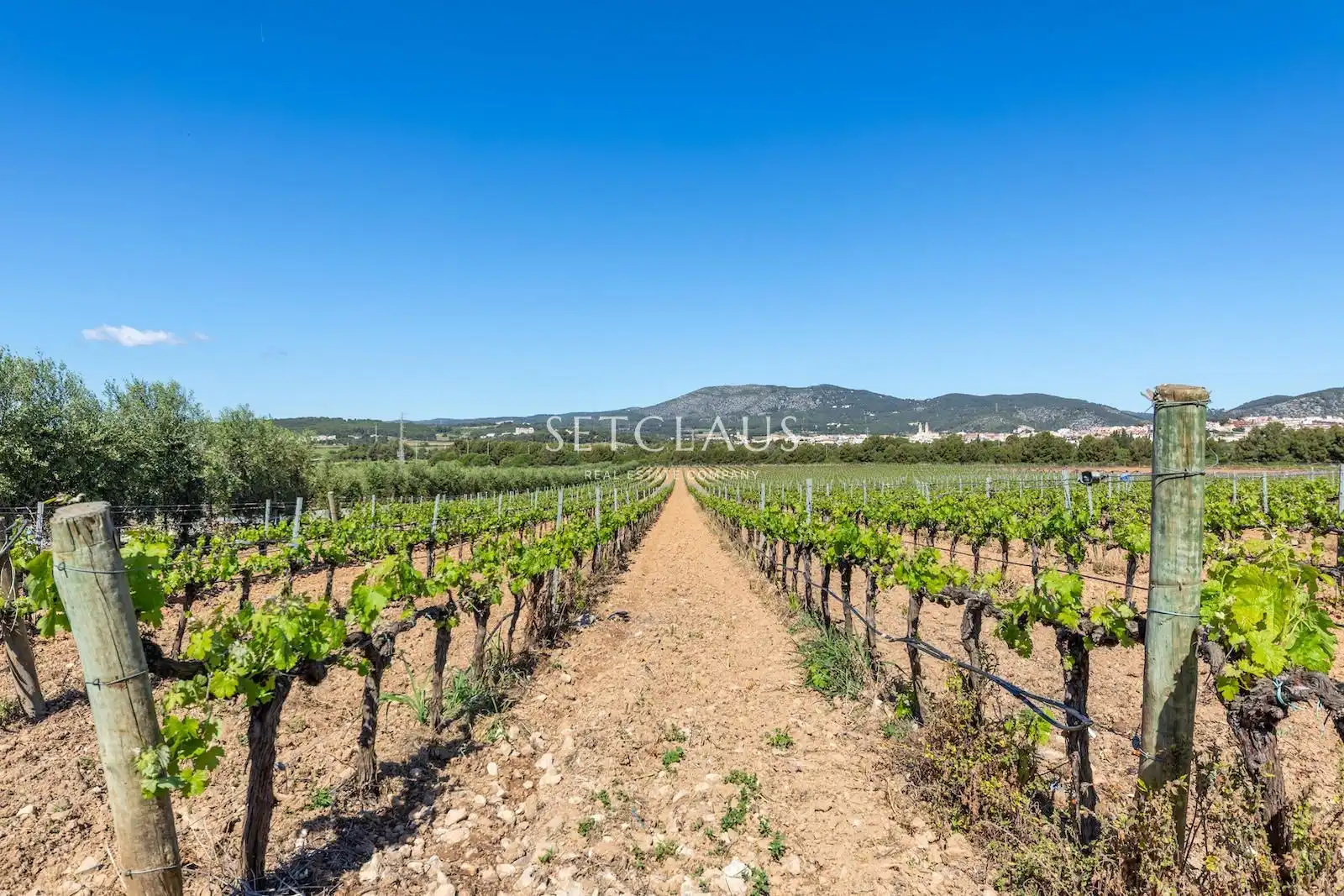 Casa o xalet en venda en Sant Pere de Ribes amb Aire condicionat, Calefacció i Terrassa