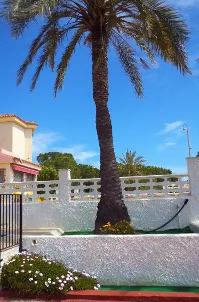 Vista exterior de Casa o xalet en venda en Mutxamel amb Calefacció, Jardí privat i Terrassa