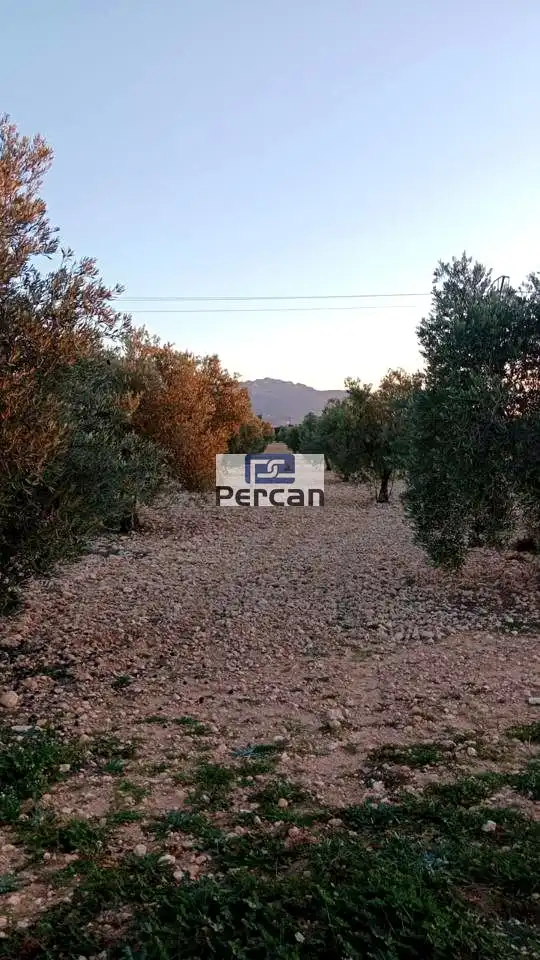 Terrenos y solares en venta en Mariscal, imagen 7
