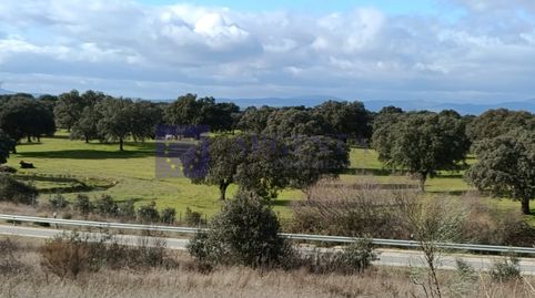 Foto 5 de Casa o chalet en venta en Urbanizacion la Hilera, Navalmoral de la Mata, Cáceres